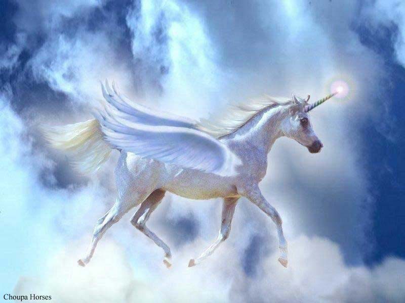 licorne35_800.jpg