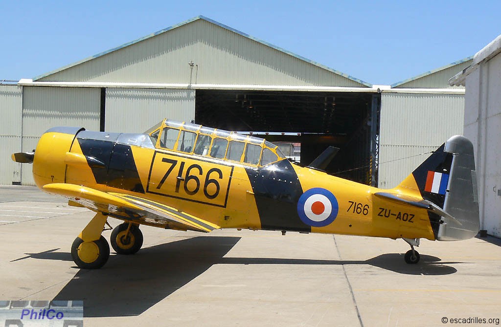 T6_SAAF-7166.jpg