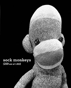 sockmonkeycover2s.jpg