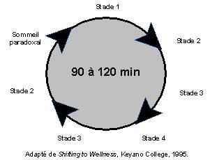 cycles_du_sommeil_2-bb96e.jpg