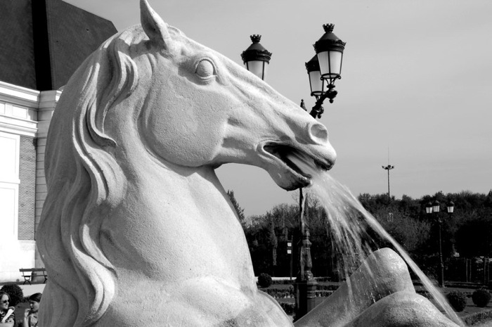 cheval.jpg