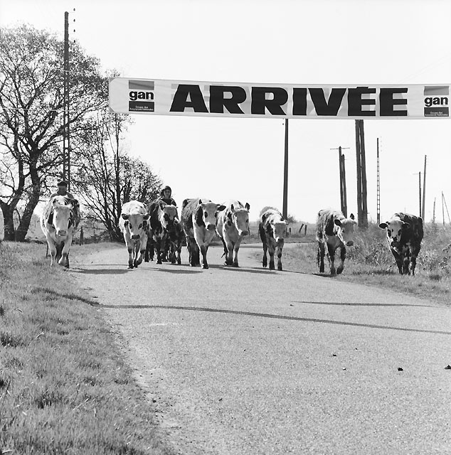 arrivee.jpg