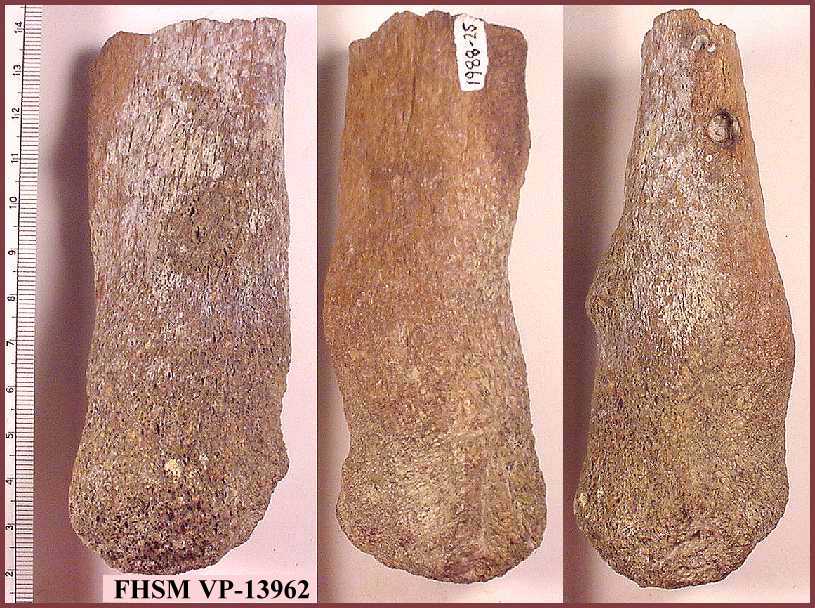 vp13962.jpg