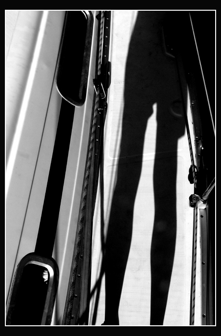 lignes.jpg