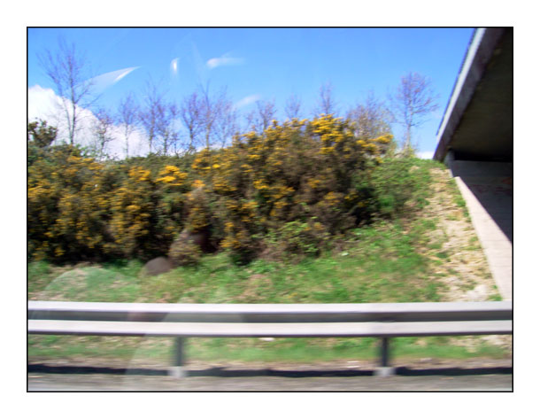 roscoff18.jpg