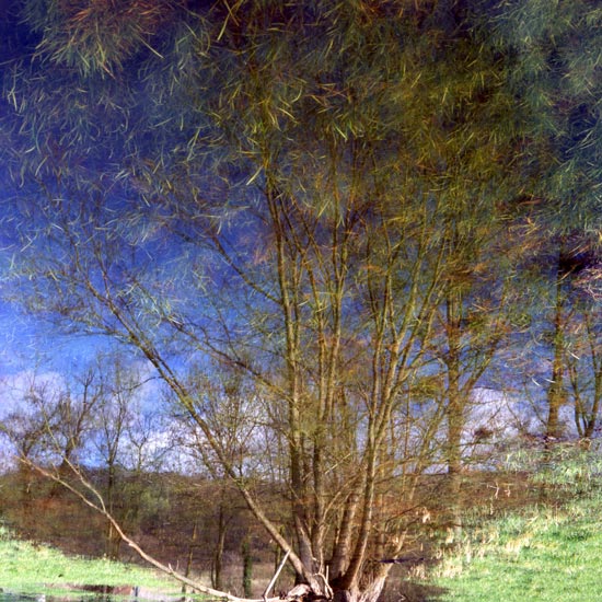 marais2.jpg