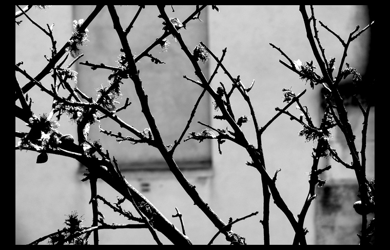 urbanspring_2