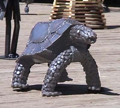 tortue.jpg