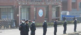 Ces travaux, partagés par un scientifique anonyme, remettent en cause certaines données connues des scientifiques comme le nombre et la nature des coronavirus détenus par le laboratoire de Wuhan, mais aussi les expériences qui y ont été conduites et l'intégrité des séquences génétiques publiées par l'Institut.
