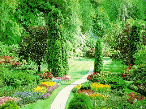 Jardin-20fleuri.gif