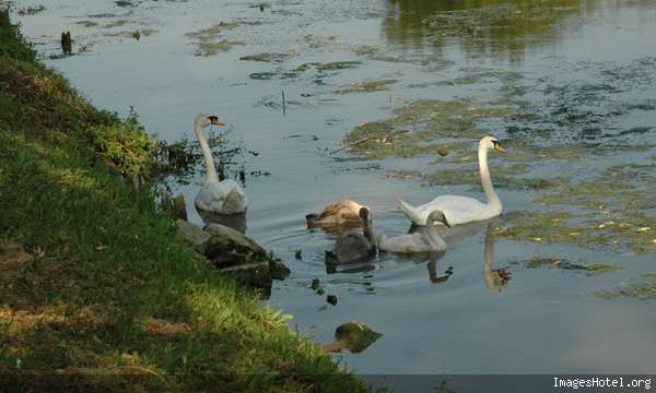 dsc0059.jpg
