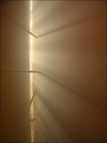 344187487_e40b0b8caf.jpg