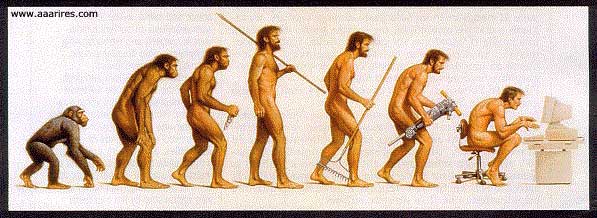 evolutio.jpg