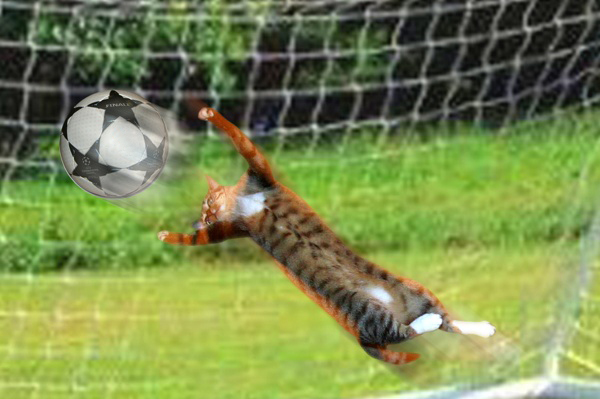 But.jpg