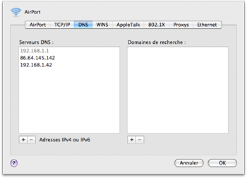 dns2.png