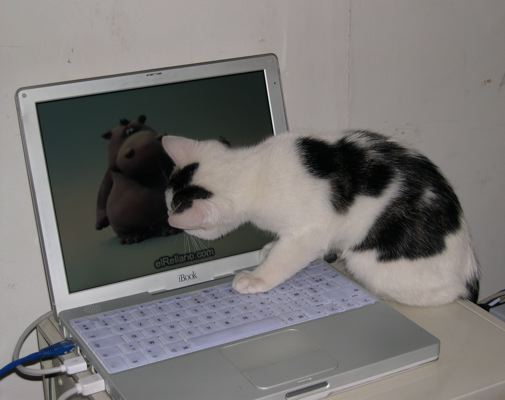 ibook.jpg