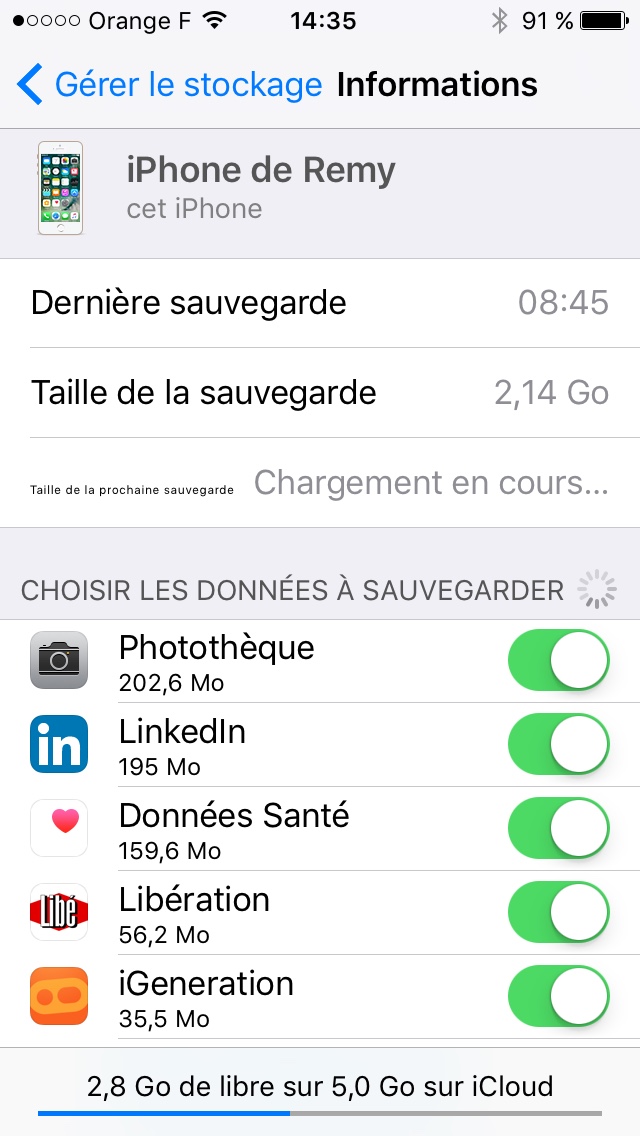 santeicloud.jpg