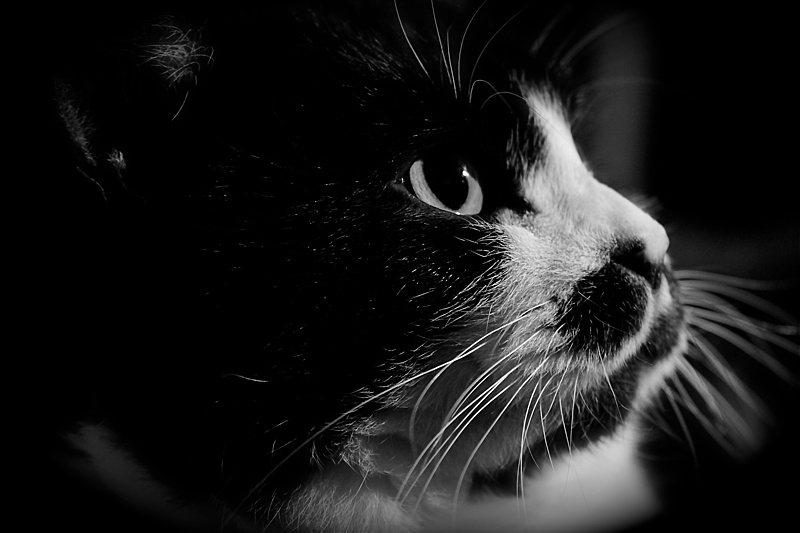 P1040655_2.jpg