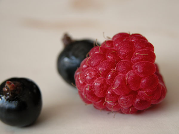 framboise_myrtilles.jpg