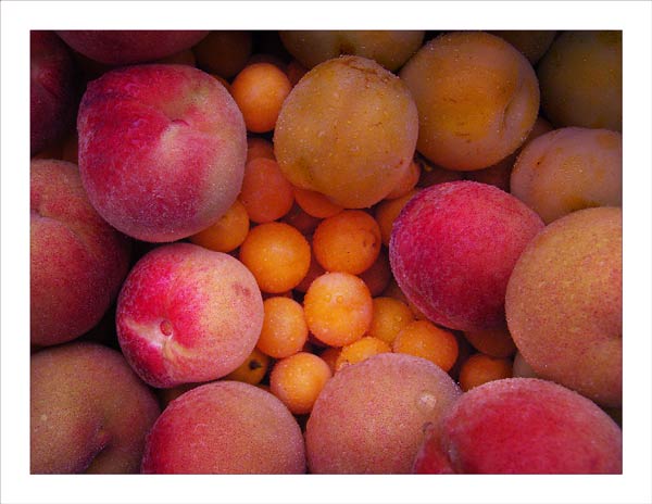fruits.jpg