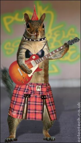 punksquirrel.jpg