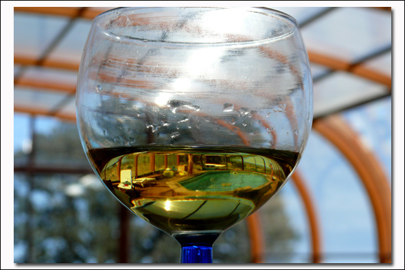 invinoveritas2.jpg