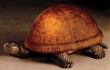 catalog_box_turtle.gif