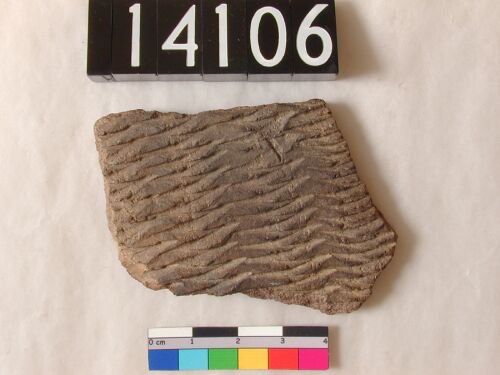 uc14106.jpg