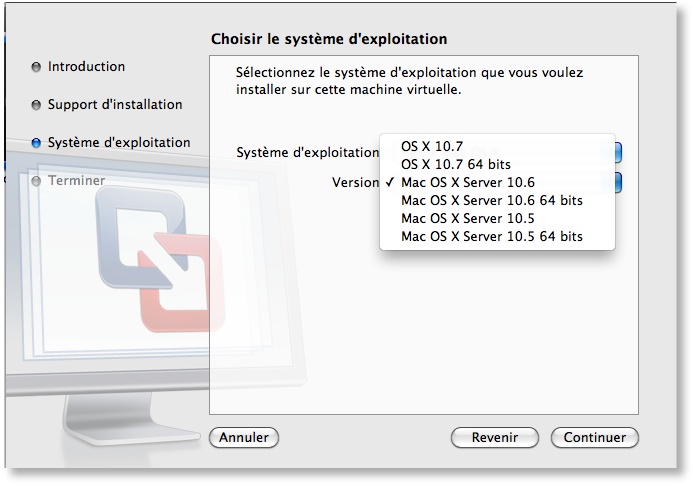 VMWare4SnowLeoServer.jpg