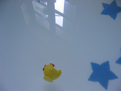 canard.jpg