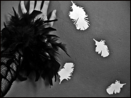 plume1.jpg