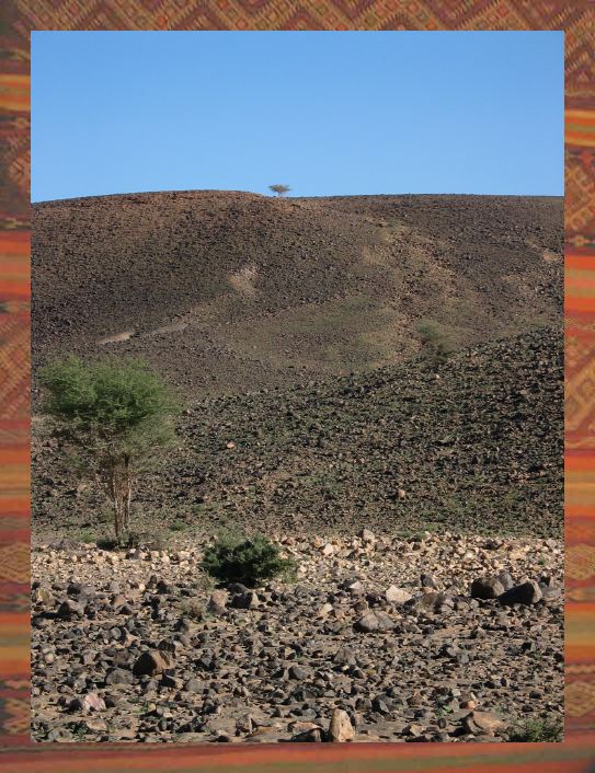 l10.jpg