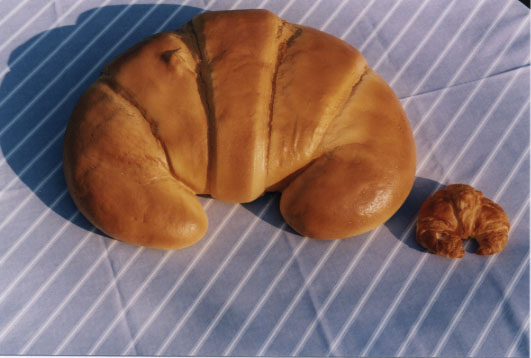 croissant.jpg