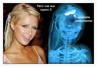 2006_07_19_paris_hilton.jpg