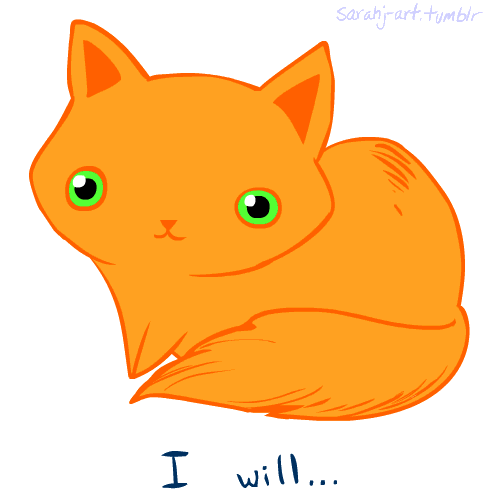 tumblr_mr6eflalX71r1069oo1_500.gif