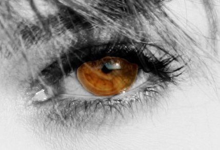 Oeil.jpg