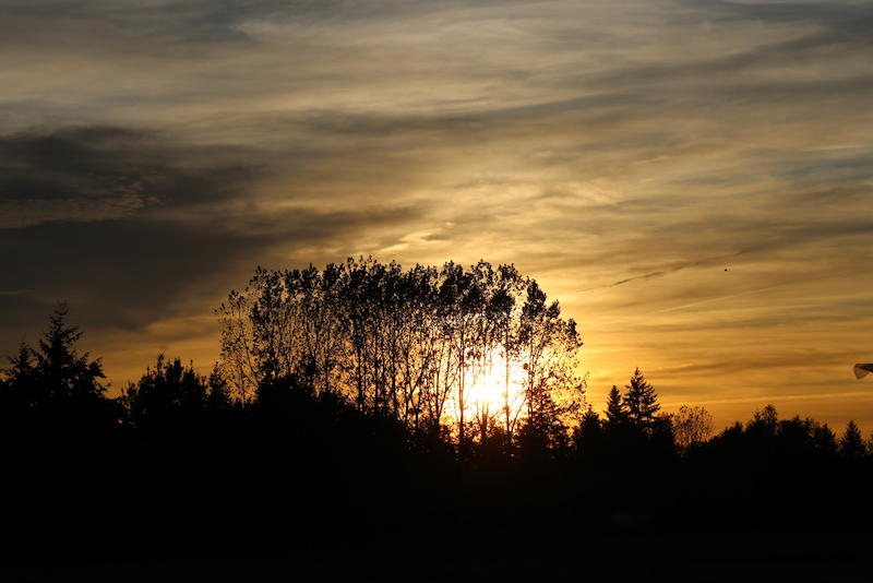 ombre-11.jpg
