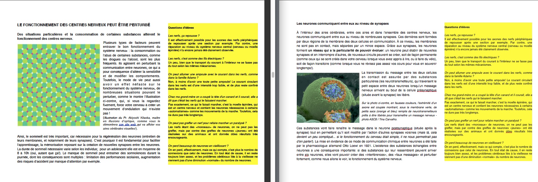 p7.jpg