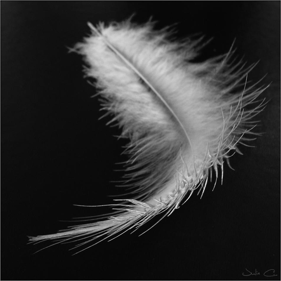 2338855127_ef0c55fd7c_o.jpg