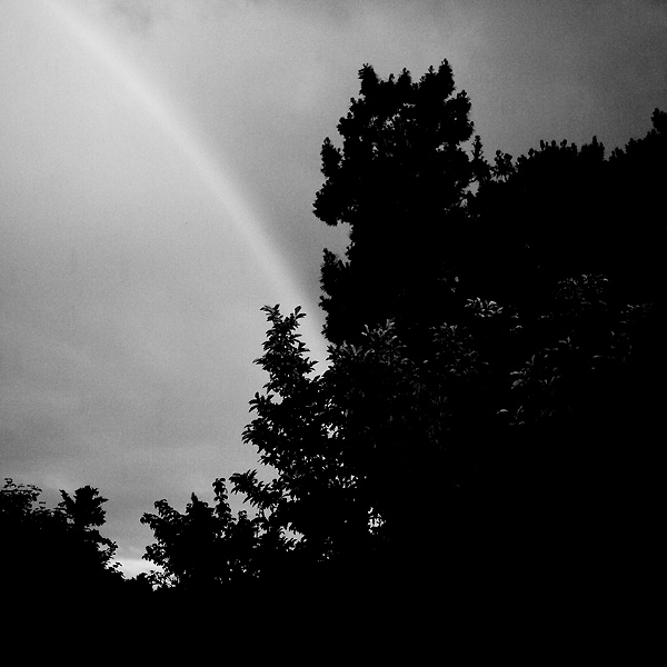 20080618071538_cp_20080616_01.jpg