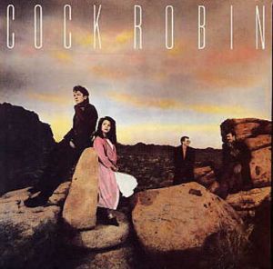 cock_robin-0001a.jpg