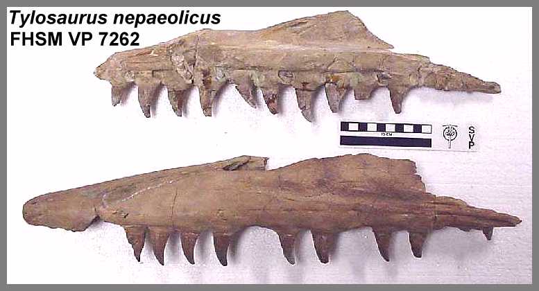 vp7262a.jpg