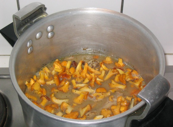 lapin_girolles.jpg