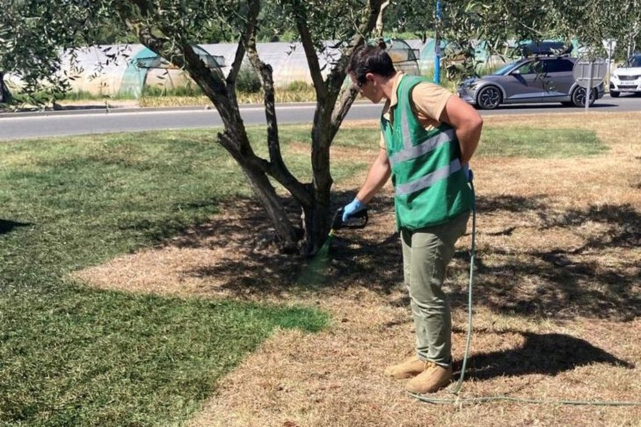 france3-regions.francetvinfo.fr